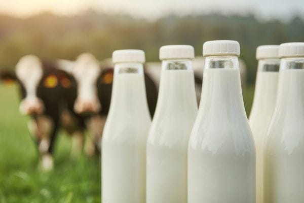 Dairy