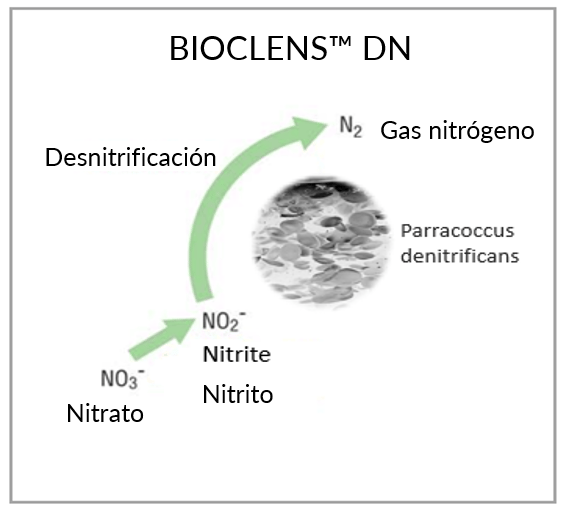 BIOCLENS DN 2