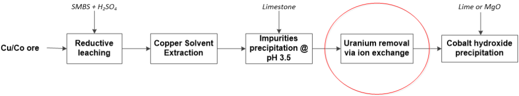 DRC process 1