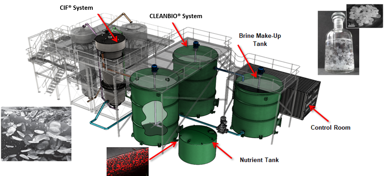 Successful Demonstration of BIONEX™ Technology