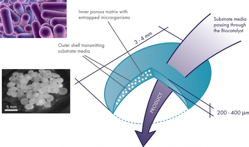 Clean TeQ Acquires Encapsulated Bacteria Lens Technology