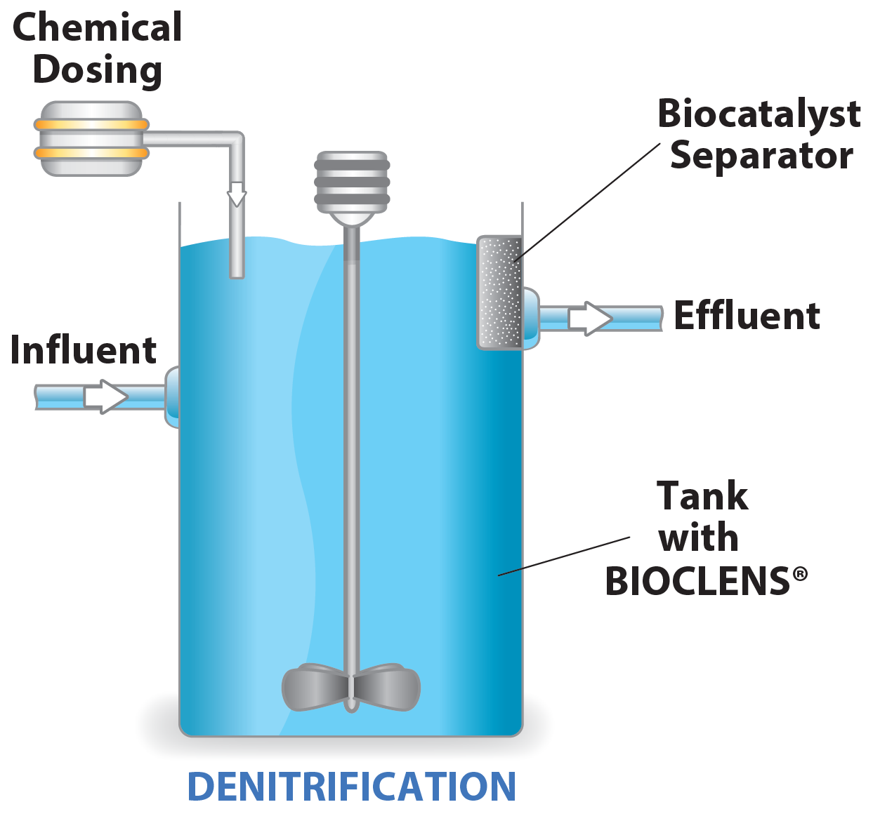 BIOCLENS® (Lens Encapsulated Bacteria)