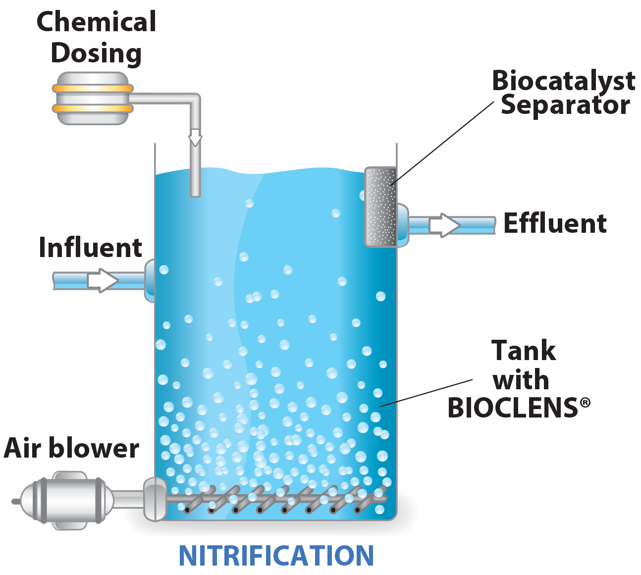BIOCLENS® (Lens Encapsulated Bacteria)
