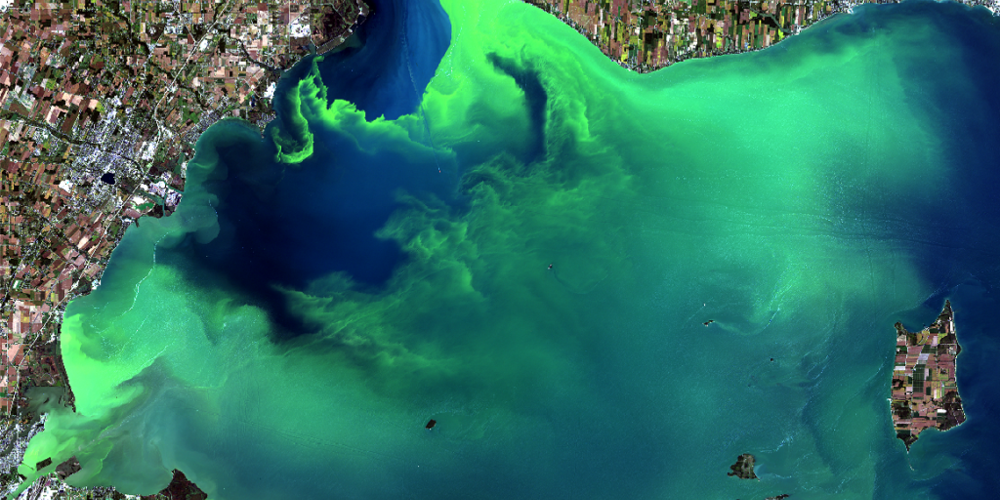 Aquaculture Water Treatment