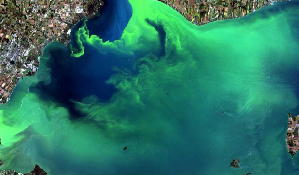 Industrial water treatment clean teq water