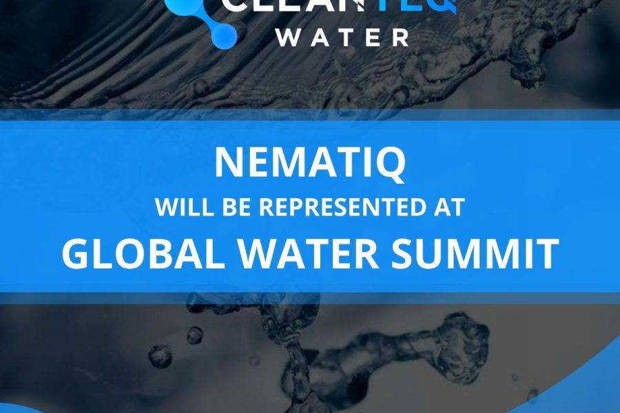 global water summit