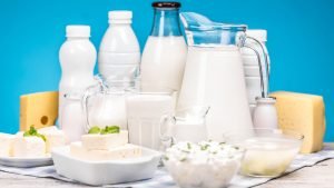dairy products