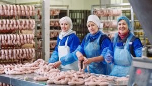 processed meat